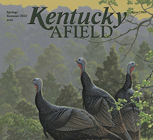 KY Afield Magazine